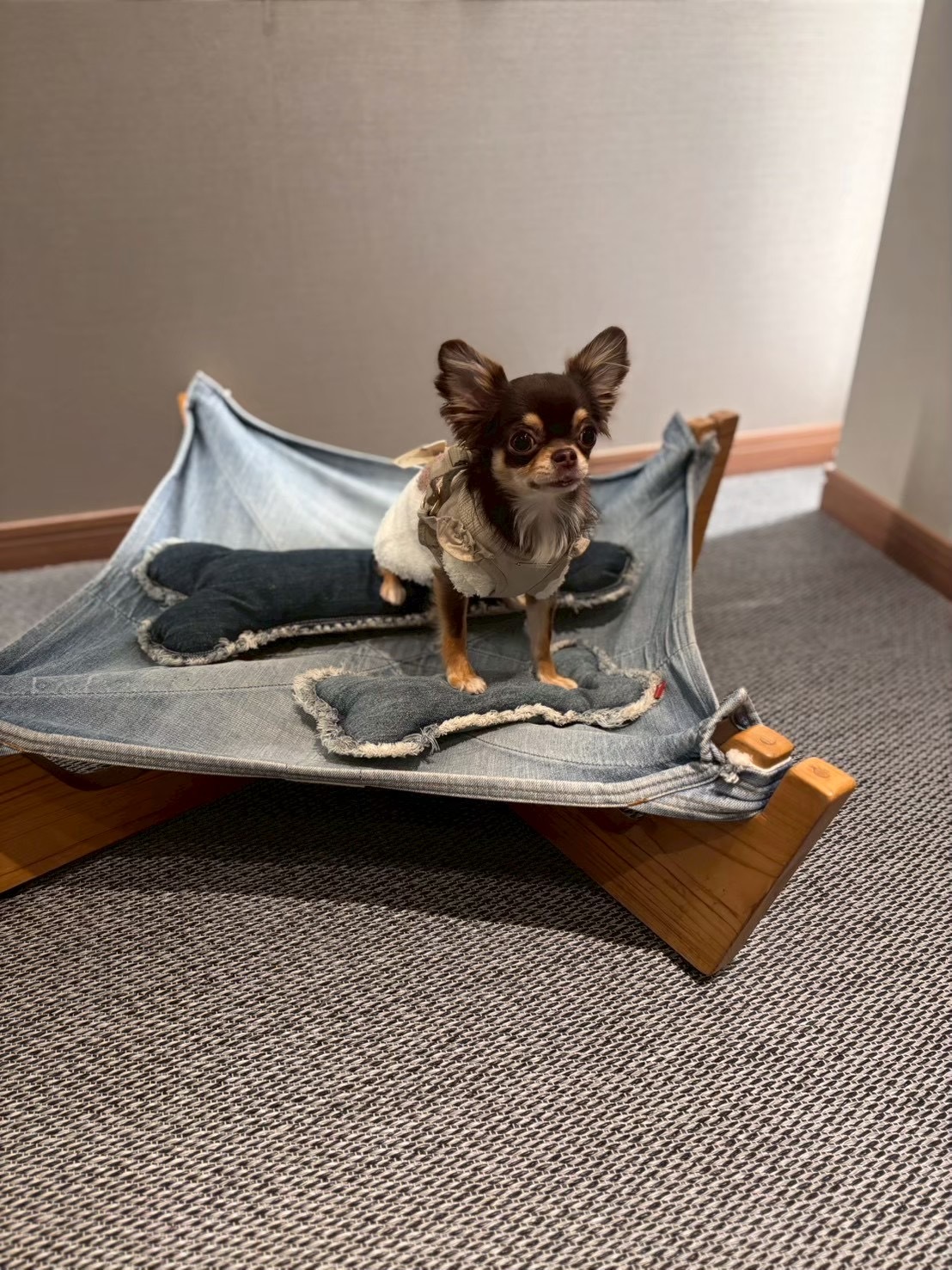 デニムハンモック