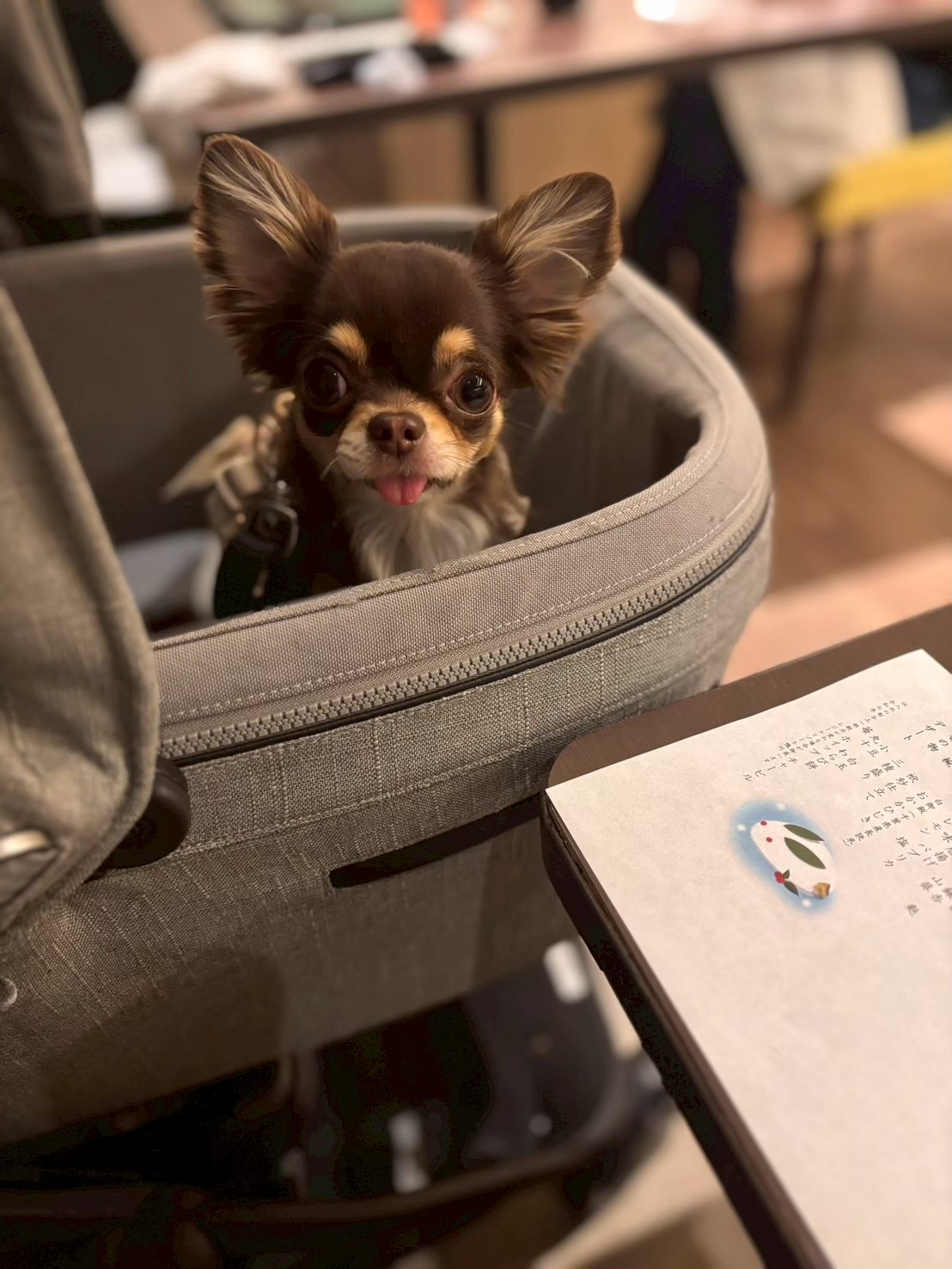 ボーン型クッション