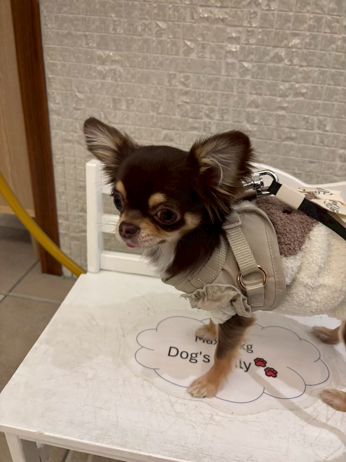 館内の愛犬の居場所